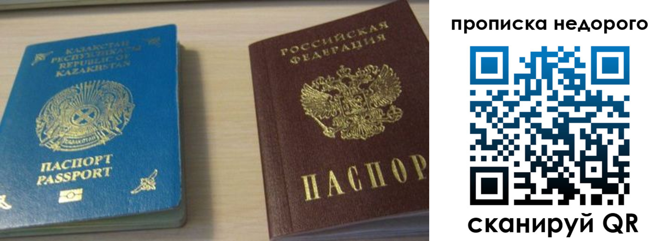 прописка для школы в Курске